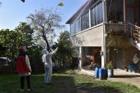 Yilmaz Açiklamasi 'Kahverengi Kokarcaya Karsi 2 Ayda 33 Bin Hane Ilaçlandi'