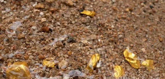 Haftada 13 gram altın çıkarıyor! Dereden gram gram altın topluyor