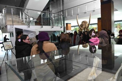 Büyüksehir'in 7,5 Milyon Fosil Sergisine Ögrenciler Ve Vatandaslardan Yogun Ilgi