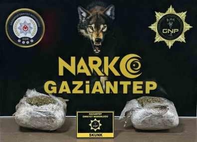 Gaziantep'te 1.5 Kilogram Skunk Ele Geçirildi