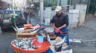 Balikçinin Isyani Açiklamasi '50 Liraya Sigara Içiyorlar, Balik Yemiyorlar'