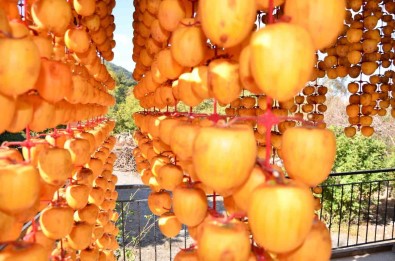 Kurutulunca Degeri 10 Kat Artiyor