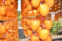 Kurutulunca Degeri 10 Kat Artiyor