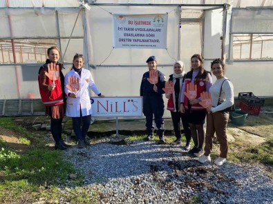 Söke'de Siddete Karsi Farkindalik Etkinligi