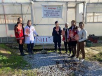 Söke'de Siddete Karsi Farkindalik Etkinligi