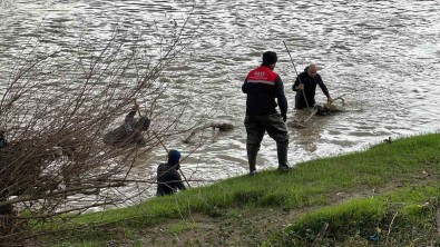 10 Gündür Kayip Sahis Melen Çayi'nda Araniyor