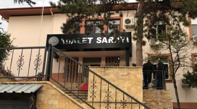 Bilecik'te Yasanan Köpek Katliamiyla Ilgili Gözaltina Alinan 5 Kisi Adliyeye Sevk Edildi