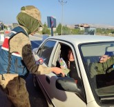 Nusaybin'de Jandarma Ekipleri Kadinlara Karanfil Verdi, KADES'i Tanitti Haberi