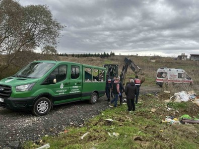 Silivri'de Traktörün Devrilmesi Sonucu Altinda Kalan Soför Hayatini Kaybetti