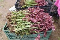 Türkiye'de En Çok Salep Üretilen Il Samsun