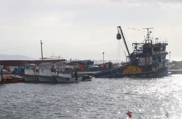 Meteoroloji uyarmıştı! Fırtına o illerde etkisini artırdı! Çatılar uçtu ağaçlar devrildi!