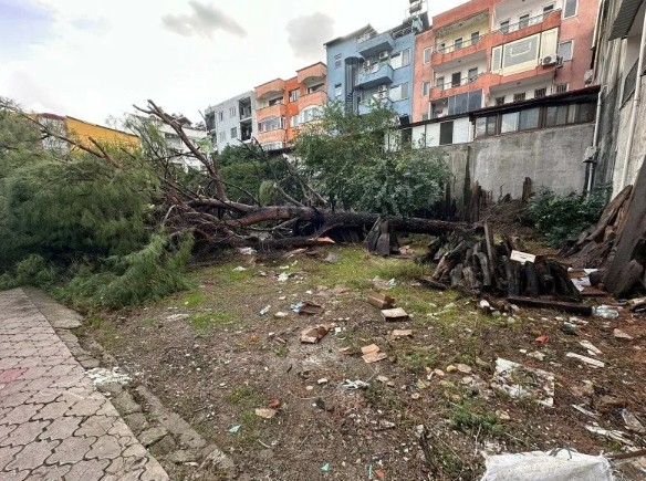 Meteoroloji uyarmıştı! Fırtına o illerde etkisini artırdı! Çatılar uçtu ağaçlar devrildi!
