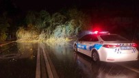 Edirne'de Etkili Olan Saganak Ve Firtina Agaç Devirdi, Yol Trafige Kapandi