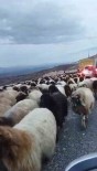Siirt'te Koyun Sürüsünün Geçtigi Yol Trafige Kapandi