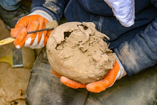 Van'da önemli keşif: 3 bin 200 yıllık alanda 'beyin ameliyatı' izleri