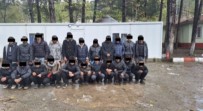 Kirklareli'de 489 Kaçak Göçmen Yakalandi