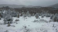 Kocaeli'nin Daglarina Lapa Lapa Kar Yagiyor