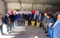Altintas'ta 532 Üreticiye Yüzde 50 Hibeli 98 Ton 550 Kilo Bugday Tohumu Dagitildi