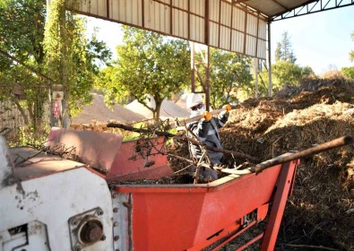 Bitki Atiklari Vatandaslar Ve Çiftçilere Yakit Olarak Dönecek