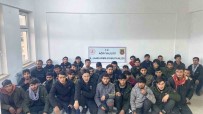 Dogubayazit'ta 36 Düzensiz Göçmen Yakalandi, 1 Kisi Gözaltina Alindi