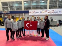 Eskisehirli Milli Tekvandoculardan Bosna Hersek'te 7 Madalya