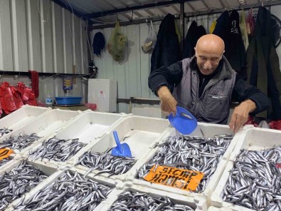 Hamsinin Ucuz Olmasi Vatandasin Ilgisini Arttirdi