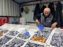 Hamsinin Ucuz Olmasi Vatandasin Ilgisini Arttirdi