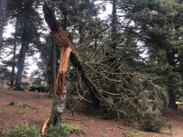 Lodos Doga Harikasi Gölcük Tabiat Parki'ni Yikti Geçti