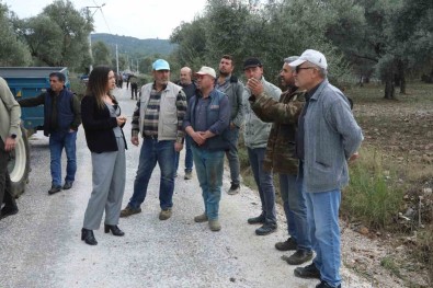 Selçuk'ta Zarara Ugrayan Üzüm Üreticilerine 500 Ton Kompost Gübre Destegi