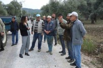 Selçuk'ta Zarara Ugrayan Üzüm Üreticilerine 500 Ton Kompost Gübre Destegi