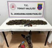 Tokat'ta Bir Araçta 2 Kilo 300 Gram Esrar Ele Geçirildi