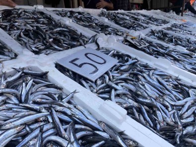 Yerli Hamsi Düsüse Geçti, Vatandas Yogun Ilgi Gösterdi