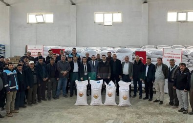 Aslanapa'da 386 Çiftçiye Yüzde 50 Hibeli 65 Ton 550 Kilo Bugday Tohumu Dagitildi