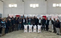 Aslanapa'da 386 Çiftçiye Yüzde 50 Hibeli 65 Ton 550 Kilo Bugday Tohumu Dagitildi