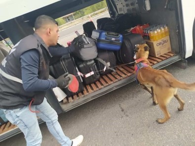 Jandarma Ekiplerinden Aranan Sahislara Operasyon