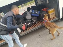 Jandarma Ekiplerinden Aranan Sahislara Operasyon