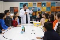 MEGA'da Yeni Dönem Kayitlari Basladi