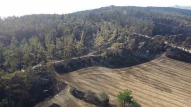 Çanakkale'deki Yanginda Çiftliginde 5 Milyon TL Zarar Olustu