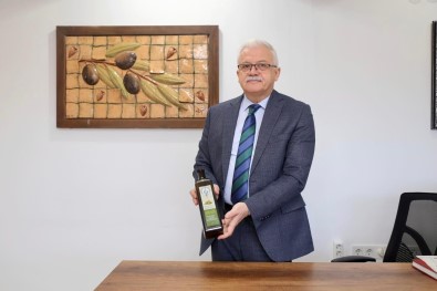 Zeytinin Baskenti Burhaniye'de Hasat Zamani