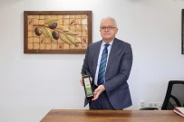 Zeytinin Baskenti Burhaniye'de Hasat Zamani