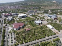 Bingöl Üniversitesi, Israil Menseli Ürünlerin Satisini Durdurdu Haberi