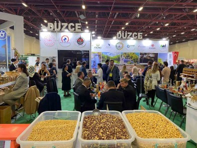 355 Bin Ziyaretçi Düzce Standina Akin Etti