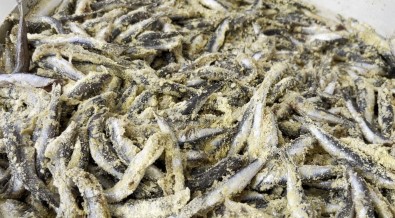 5 Ton Hamsiyi Bedava Dagittilar