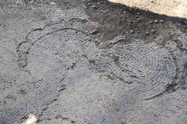 Elazığ'da heyecanlandıran keşif! Ağaç dikerken buldu: Önce Roma dönemine ait mozaik ardından duvarlar ortaya çıktı