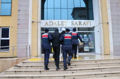 Artvin'de 15 Düzensiz Göçmen Yakalandi