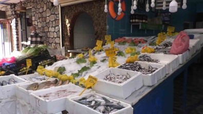 Hamsinin Kilo Fiyati 35 Liraya Düstü