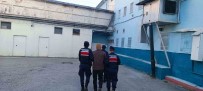 Kastamonu'da Yakalanan 47 Sahistan 9'U Tutuklandi
