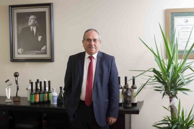 Taris Zeytin Ve Zeytinyagi Birligi Alim Fiyatini 295 TL Olarak Açikladi