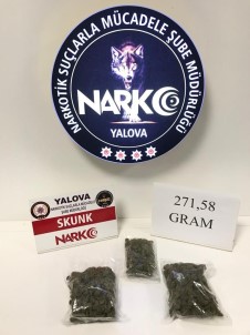 Yalova'da Uyusturucu Operasyonu Açiklamasi 2 Gözalti