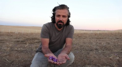 Dünyanın en pahalısı: Kilosu 600 bin TL!